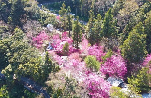Ren'ai Haus | 森之秘湯 Mhuwe Hotspring