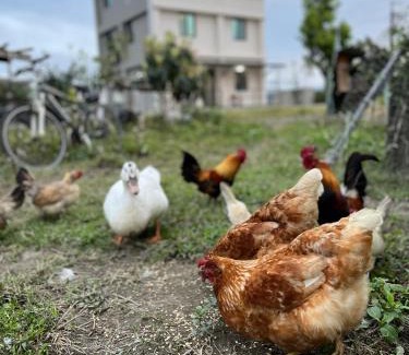 Guanshan Bed & Breakfast | 楠山民宿Nanshan B&B