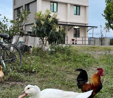 Guanshan Bed & Breakfast | 楠山民宿Nanshan B&B