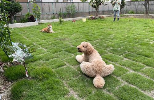 Kofu Villa | 次郎の家