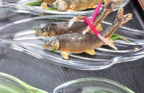 Nantan Hotel | 民宿みやま