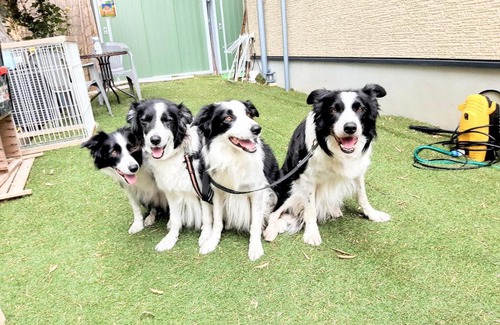 Fushimi Wohnung | 民泊稲荷山ドッグフレンドリー