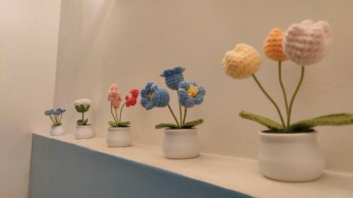 Chishang Haus | 池上投優榻 Smart living B&B