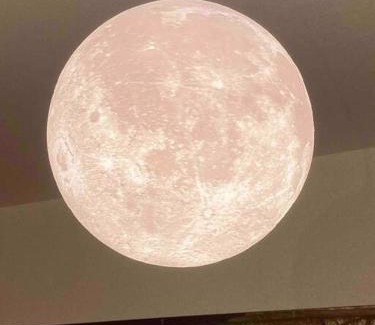 Chikusa Ward Wohnung | 『沙羅居の森Suite』便利な名古屋都心部の高級デザイナーズマンション50 ㎡ まるごと貸切最大7名