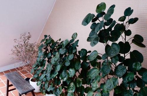 Hengchun Old Town Haus | 洋Casa