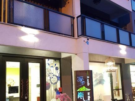 Xitou Haus | 漫步山嵐 A walk in the mist