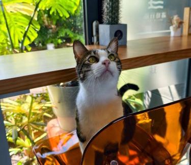 Liuqiu Bed & Breakfast | 濱境行旅 Begin Inn