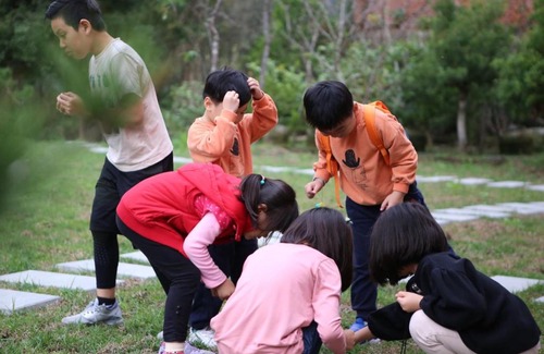 Nanzhuang Bed & Breakfast | 無盡夏民宿