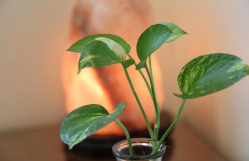 Dongshan Haus | 田心民宿