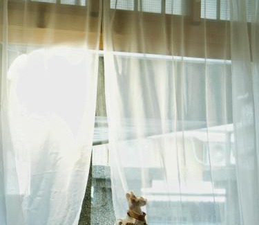 Taitung City Centre Haus | 癒室Healing space貓咪咖啡廳寵物友善民宿-台東縣民宿2094號