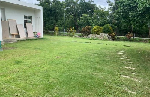 Luye Haus | 發呆永安