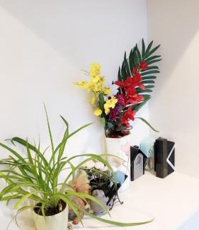 Ichikawa Wohnung | 竹内公寓