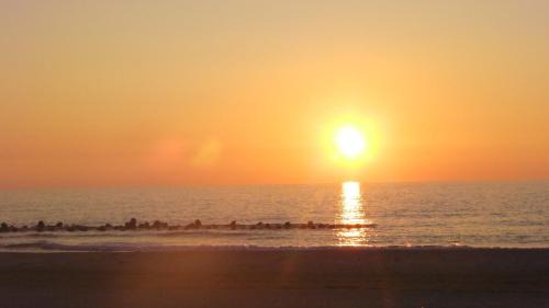 Yunohama Hotel | 竹屋ホテル