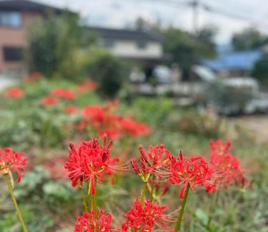 Kameoka Haus | 縁側ハウス