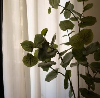 Naka Ward Wohnung | 自由自在OSU 402(KUMO)