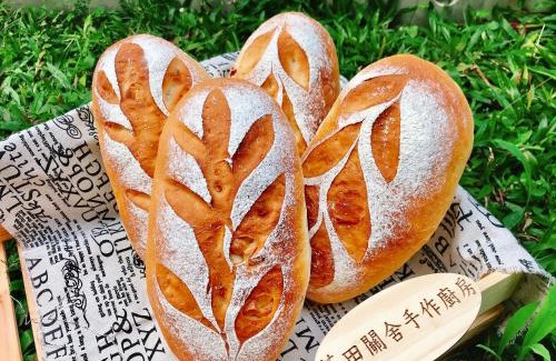 Guanshan Haus | 茶田關舍民宿Tea Paddy B&B