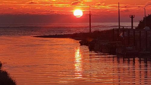 Da'an District Haus | 西濱休息站旁