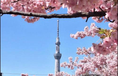 Edogawa Villa | 貸切一軒家 東京ヴィラ リバーサイド平井