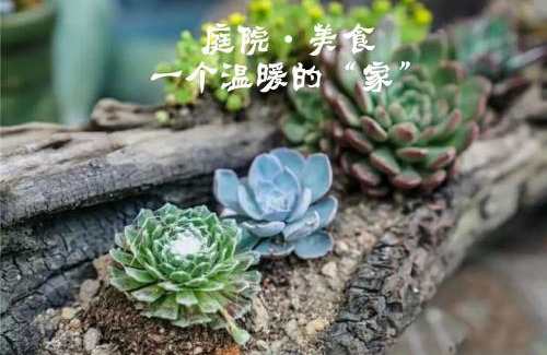 Chenzhou Haus | 资兴东江湖16号精品别墅