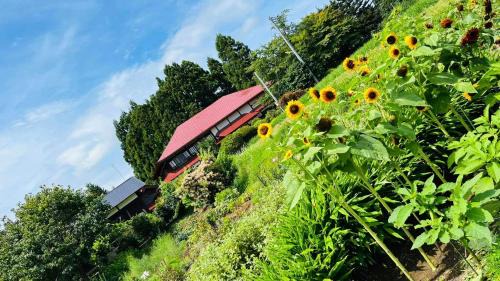 Oga Haus | 農家民宿と古民家カフェ 里山のカフェ ににぎ