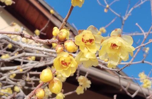 Danshi Cho Haus | 農家民宿河西園