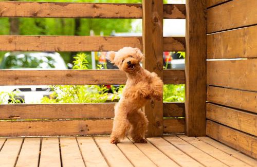 Nasushiobara Haus | 那須塩原市の主要道路沿いにあるログハウス