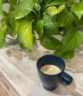 Zhushan Haus | 鄉間小路 Home 備有專屬停車場