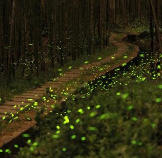 Lugu Haus | 鋐洋民宿