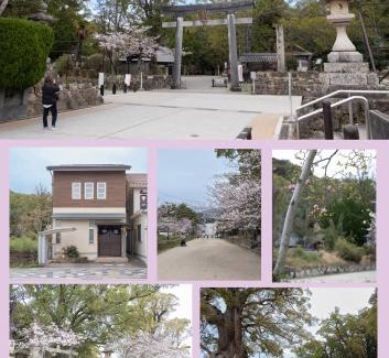 Tanabe Haus | 闘鶏の家