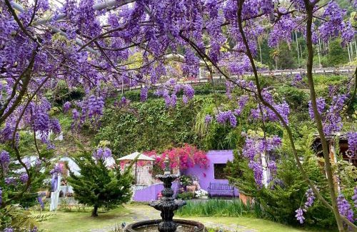 Rueili Village Haus | 阿喜紫藤