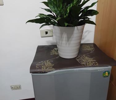 Tamsui Haus | 香柏樹