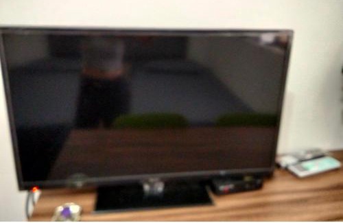 Tamsui Haus | 香柏樹