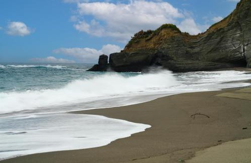 Chenggong Haus | 鳳凰城堡2F