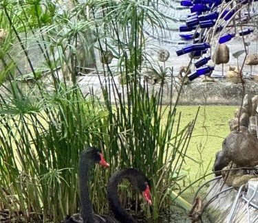 Chenggong Haus | 鳳凰城堡2F