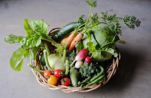 Omi Wohnung | 1日1組限定の宿 旅館 土と糸 Ryokan Tsuchi to Ito