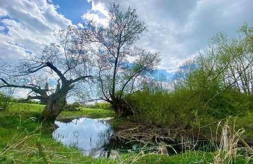 Cricklade Hütte | 1 bedroom accommodation in Cricklade