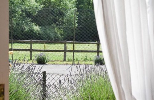 Bampton Hütte | 1 Zimmer Unterkunft in Grafton, Bampton