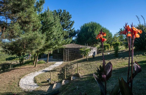 Alcobaca Hütte | 1. Rustic Rondavel with Wood-burner & Sauna – Long-stay Winter Retreat
