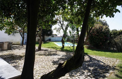 Branca Haus | 12 Casa d'Avó - ein Ferienhaus auf dem Land