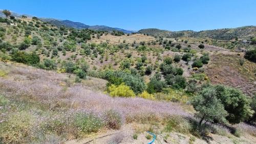 Sedella Haus | 2 Bed 2 Bath Villa Near Sedella Heatable Saltwater Pool