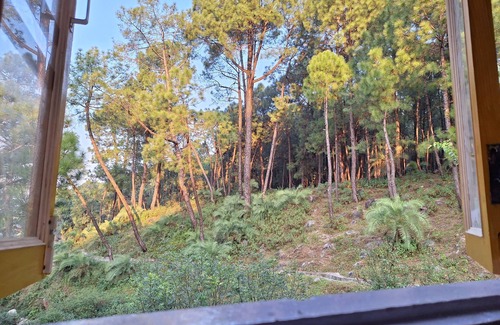 Gunehr Haus | 2 Bedroom & 5 Rooms Hostel property in Pine Forest at Bir-Billing H.P.