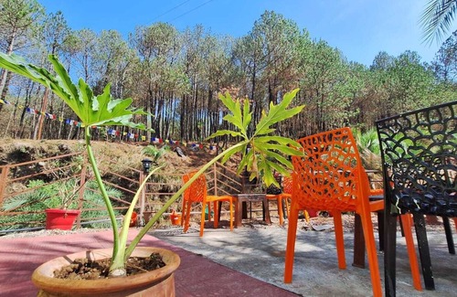 Gunehr Haus | 2 Bedroom & 5 Rooms Hostel property in Pine Forest at Bir-Billing H.P.