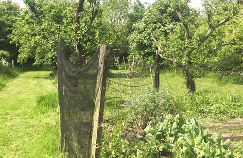 Templecombe Hütte | 2 bedroom accommodation in Horsington Marsh, near Templecombe