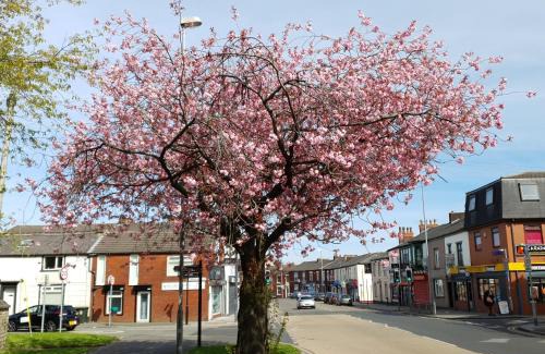 Rochdale Wohnung | 2 Bedroom Flat Free Parking Fast Wi-Fi Self Check-in Visit Manchester Oldham Bury