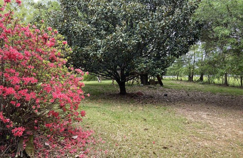 Ridgeland Haus | 2 Kings Private Retreat Close to Shopping and Restaurants