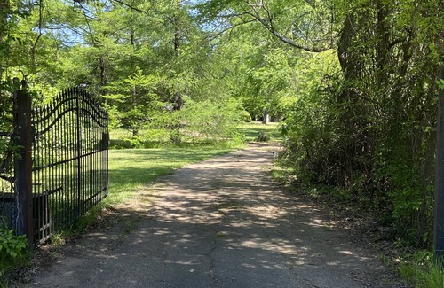 Ridgeland Haus | 2 Kings Private Retreat Close to Shopping and Restaurants