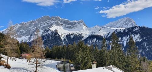 Alpe des Chaux Wohnung | 2 pièces équipé avec parking privé