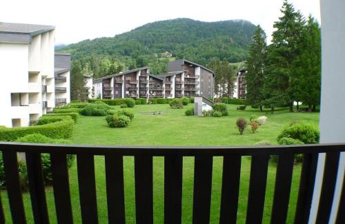 Samoens Wohnung | 2 pièces cabine lumineux, proche centre Samoëns, animaux acceptés, parking, balcon - FR-1-629-22