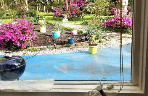 Duluth Haus | 2 ROOMS FOR RENT Stay in beautiful home 5 Blocks to medical center/restaurants