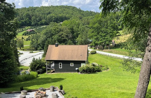 Cullowhee Kabine | 2 Views! Front view of Lake Glenville & back view of Christmas Tree farm!